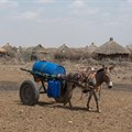 A woman uses a donkey cart to transport a barrel of water in drought affected areas in Higlo Kebele, Adadle woreda, Somali region of Ethiopia, in this undated handout photograph. Michael Tewelde/World Food Programme/Handout via Reuters/ File Photo
