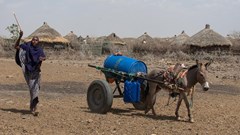 A woman uses a donkey cart to transport a barrel of water in drought affected areas in Higlo Kebele, Adadle woreda, Somali region of Ethiopia, in this undated handout photograph. Michael Tewelde/World Food Programme/Handout via Reuters/ File Photo
