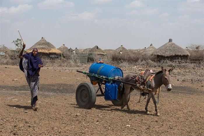 A woman uses a donkey cart to transport a barrel of water in drought affected areas in Higlo Kebele, Adadle woreda, Somali region of Ethiopia, in this undated handout photograph. Michael Tewelde/World Food Programme/Handout via Reuters/ File Photo