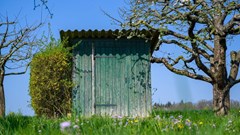 Image source: wirestock from