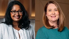 (Images supplied. Artwork: Lesley Svenson, Bizcommunity)