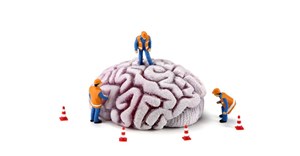 Image source: Amy Walters –