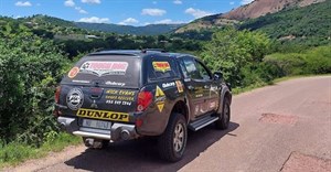 High temperatures and snakes: Steps to take to stay safe