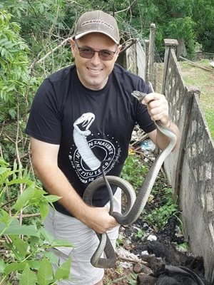 High temperatures and snakes: Steps to take to stay safe