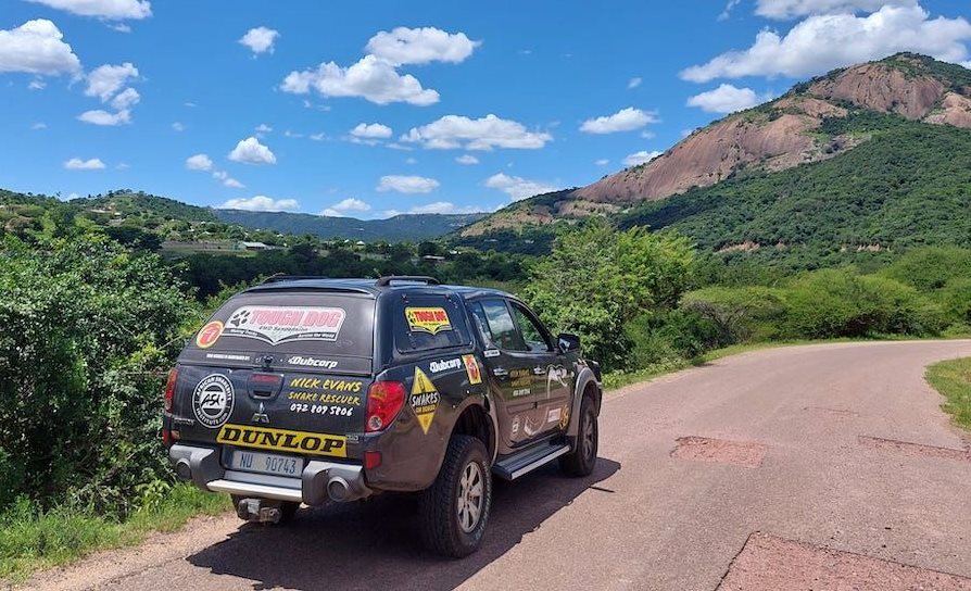 High temperatures and snakes: Steps to take to stay safe