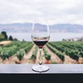 CapeWine 2025 to showcase global wine excellence