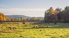 Source: wirestock via