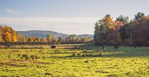 Source: wirestock via