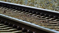 Source:Alexas_Fotos via