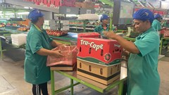 Two-a-Day named first SA agribusiness to receive Top Employer status