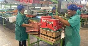 Two-a-Day named first SA agribusiness to receive Top Employer status