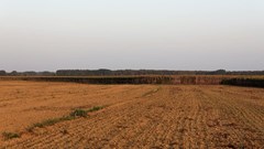 Non-profit calls for enhanced CPA capacity to drive land reform