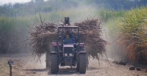 Tongaat Hulett Zimbabwe to lay off 1,000 employees by August