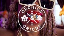 #OrchidsandOnions: How AutoTrader&#x2019;s humour-driven ads are shaking up car marketing