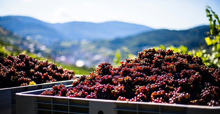 Source: Stefan Schauberger via