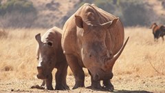 Image source: Nicole Kruger from