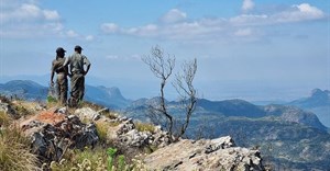 Image source: The Endangered Wildlife Trust