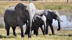 Image source: Pixabay from