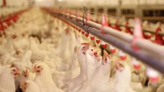 Source: ©123branex via