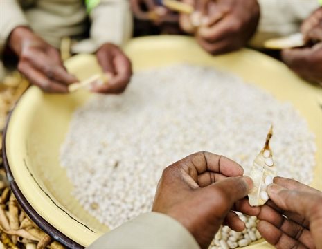 Thriving people, thriving planet: Transforming lives and landscapes