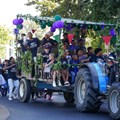 Stellenbosch Harvest Parade returns to kick off the grape harvest season
