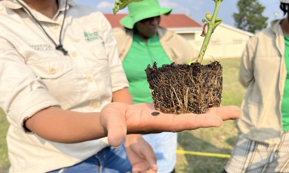 Thriving people, thriving planet: Transforming lives and landscapes