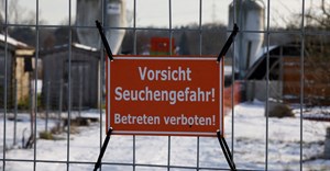 Morocco bans German feed grain imports amid FMD outbreak