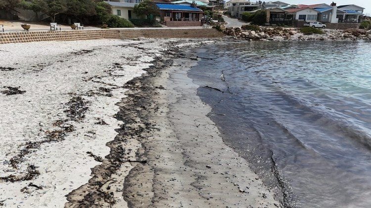 One of the oil-impacted beaches at the West Coast town of Strandfontein. Photo: Tania Fouche