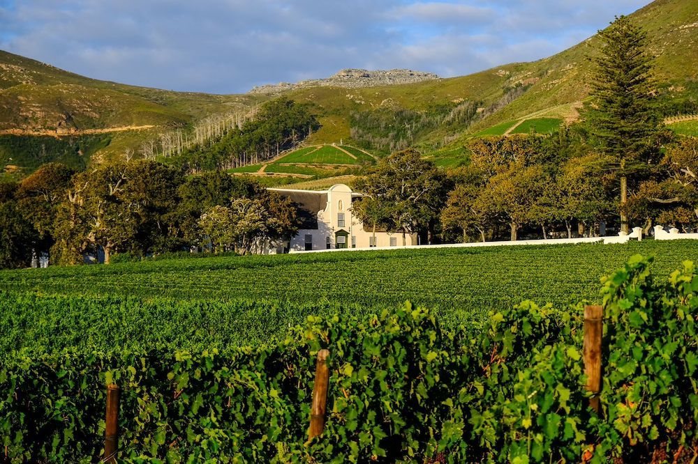 366 years of South African wine: Excitement builds for annual Wine Harvest Commemorative Event