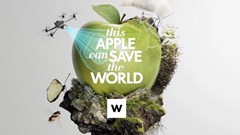 South Africa shines at the CMAs with Woolworths, New Media and Poultry Bulletin wins