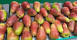 SA apple and pear producers eye promising season ahead