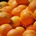 Citrus growers urge swift action on logistics post-Sona