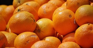 Citrus growers urge swift action on logistics post-Sona