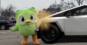 The bird was allegedly 'killed' by a Tesla Cybertruck.