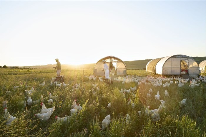 Spier Wine Farm's reimagined hotel opens March 2025