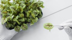 New Plant Health Act to boost agricultural trade and biosecurity