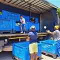 SA Harvest, logistics partners tackle food insecurity in Eastern Cape