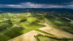 Make restituted land productive: Addressing challenges and unlocking reform potential