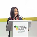 Afreximbank's EVP highlights Africa&#x2019;s mineral wealth as key to industrial development