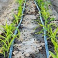 Securing SA&#x2019;s agricultural future with advanced irrigation technology