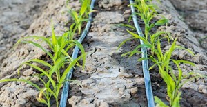 Securing SA&#x2019;s agricultural future with advanced irrigation technology