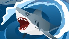 Salt Typhoon cyberattack hit Cisco vulnerability in SA