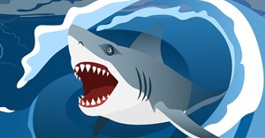 Salt Typhoon cyberattack hit Cisco vulnerability in SA