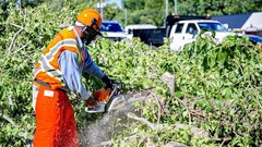 Image: www.rawpixel.com