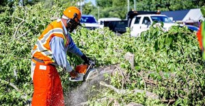 Image: www.rawpixel.com