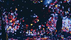 Who or what is designing your research brief?