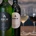 ANEW Hotels & Resorts launches the ANEW Collection