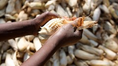 How innovation and sustainability can solve Africa's food security challenges