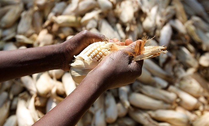 Source: Africa Food Security 11 via