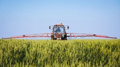 Source: ©Zoran Orcik via